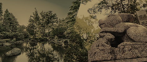 環境写真ギャラリー