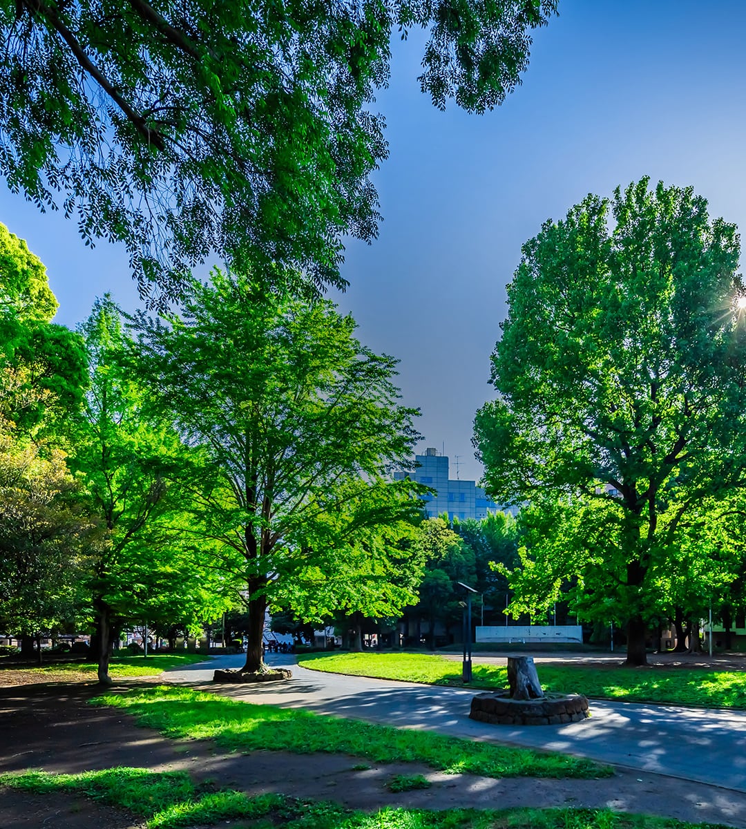 北浦和公園（徒歩5分/約380m）