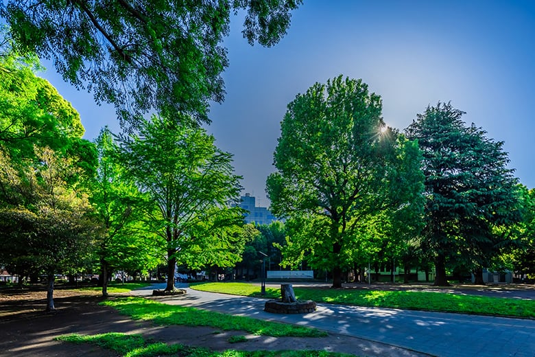 北浦和公園（徒歩5分/約380m）