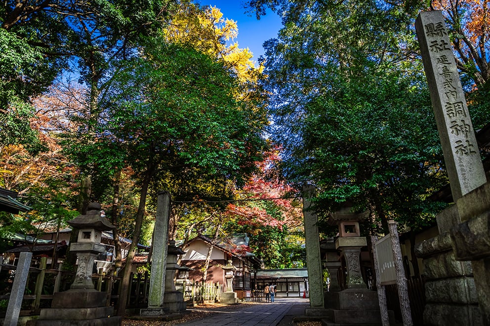 調神社