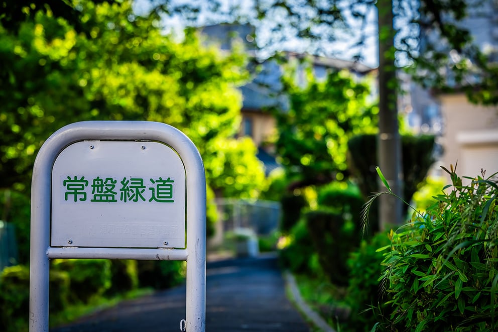 常磐緑道