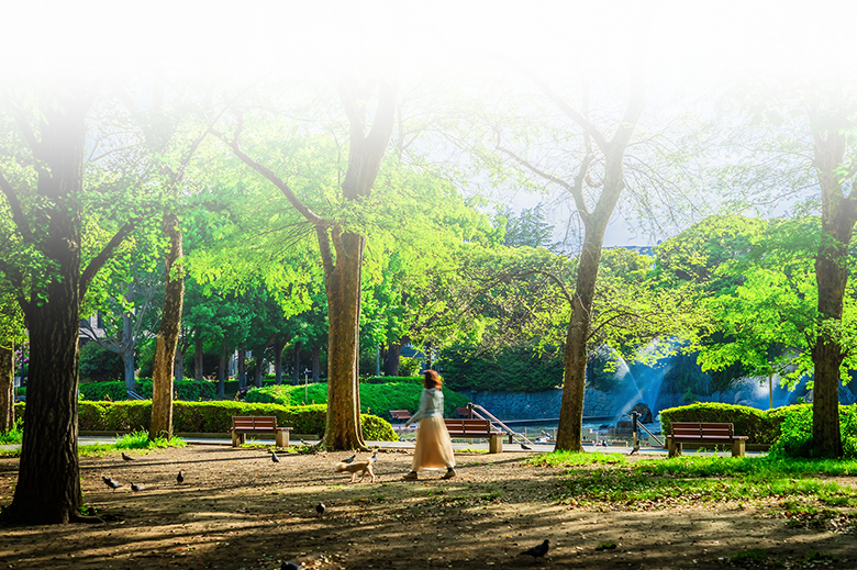 北浦和公園（徒歩5分/約380m）