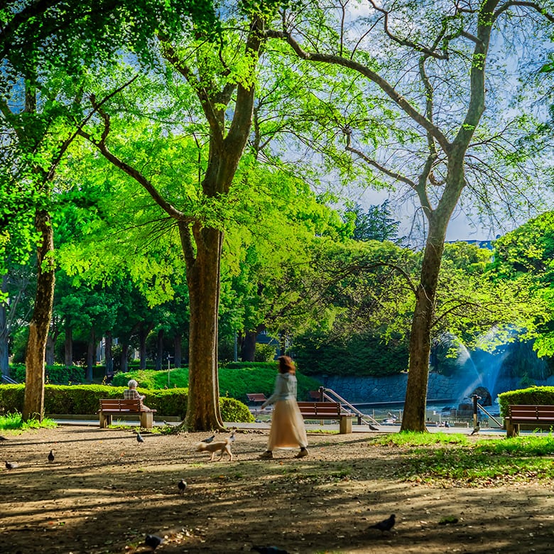 北浦和公園（徒歩5分/約380m）